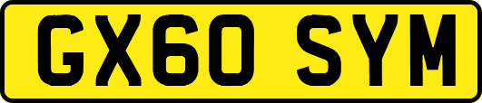 GX60SYM