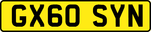 GX60SYN