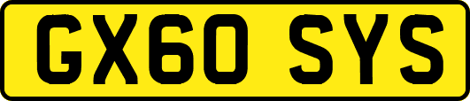 GX60SYS