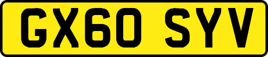 GX60SYV