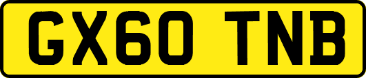 GX60TNB