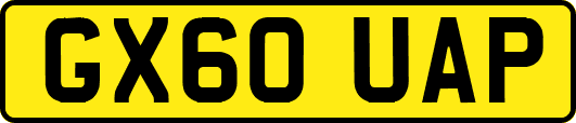 GX60UAP