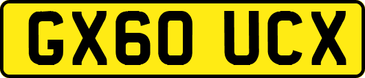 GX60UCX