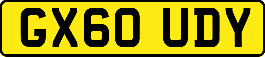 GX60UDY