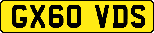 GX60VDS