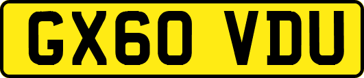 GX60VDU