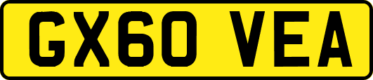 GX60VEA