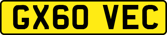 GX60VEC