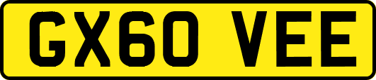 GX60VEE