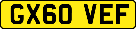 GX60VEF