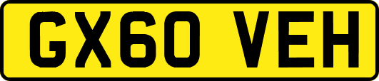 GX60VEH