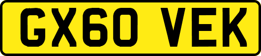 GX60VEK