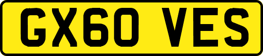 GX60VES