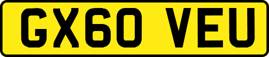 GX60VEU