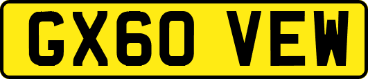 GX60VEW