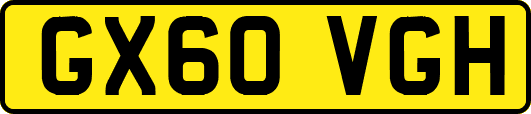 GX60VGH