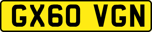 GX60VGN