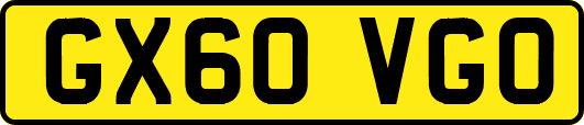 GX60VGO