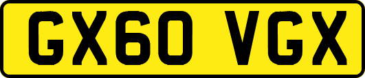 GX60VGX