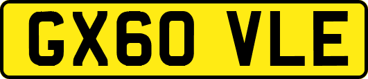 GX60VLE