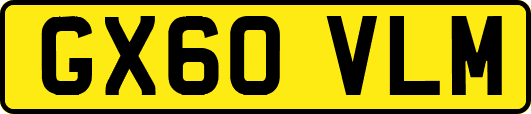 GX60VLM