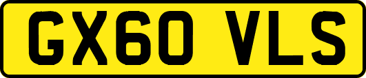 GX60VLS