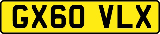 GX60VLX