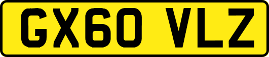 GX60VLZ