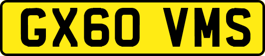 GX60VMS