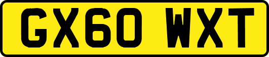 GX60WXT