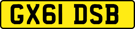 GX61DSB