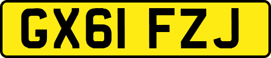 GX61FZJ
