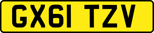 GX61TZV