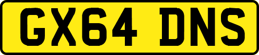 GX64DNS