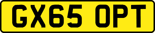 GX65OPT