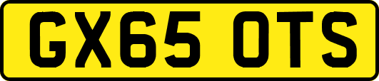 GX65OTS