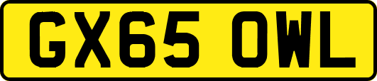 GX65OWL