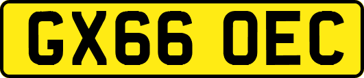 GX66OEC