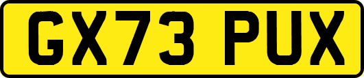 GX73PUX