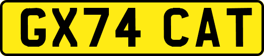 GX74CAT