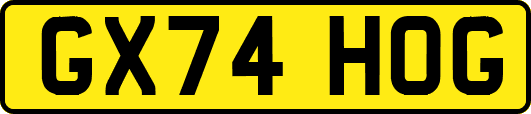 GX74HOG