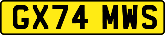 GX74MWS