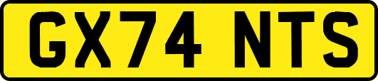 GX74NTS