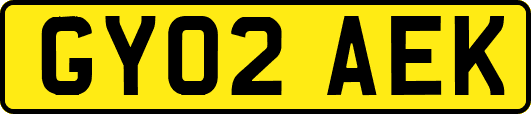GY02AEK