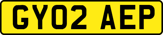 GY02AEP