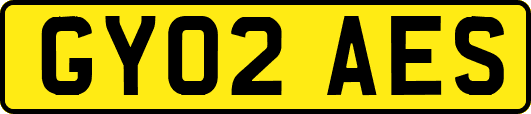 GY02AES