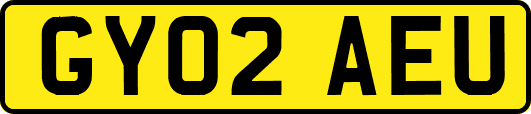 GY02AEU
