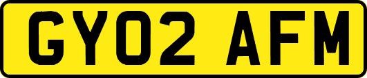 GY02AFM