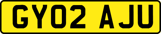 GY02AJU
