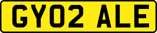 GY02ALE